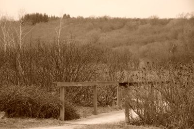 Le petit pont de bois_4432817708_l.jpg